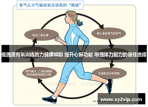 低强度有氧训练助力健康减脂 提升心肺功能 增强体力耐力的最佳选择