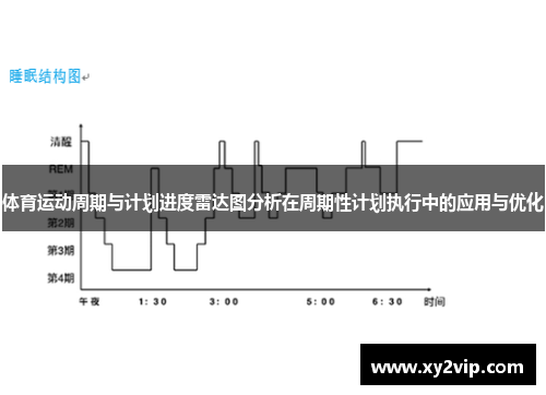 体育运动周期与计划进度雷达图分析在周期性计划执行中的应用与优化