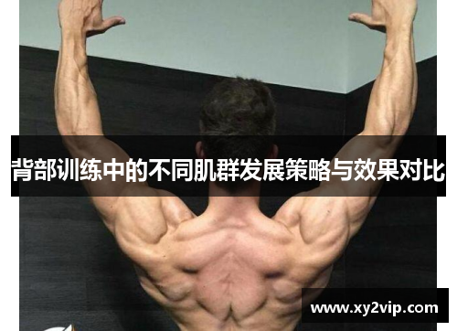 背部训练中的不同肌群发展策略与效果对比